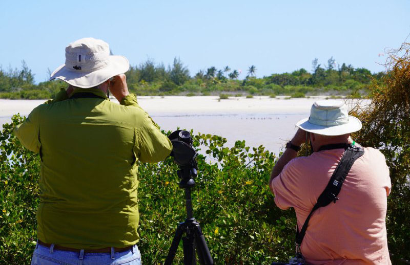 1126 aviturismo cayo coco