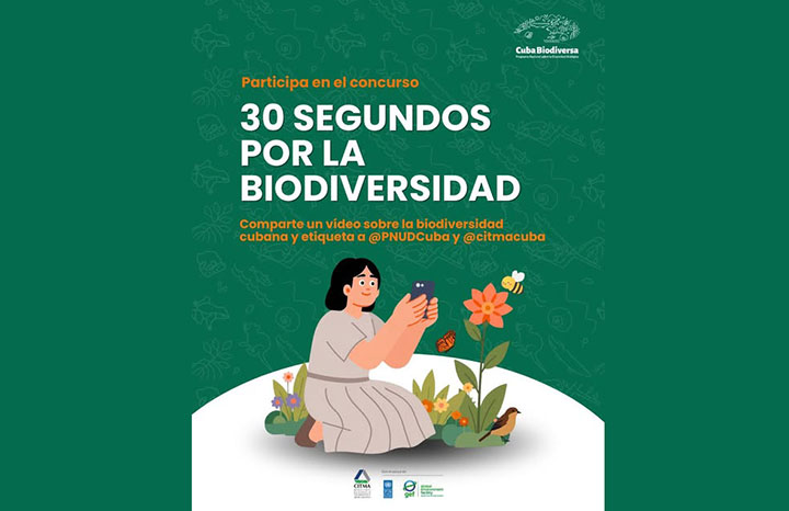 1805 concurso diversidad