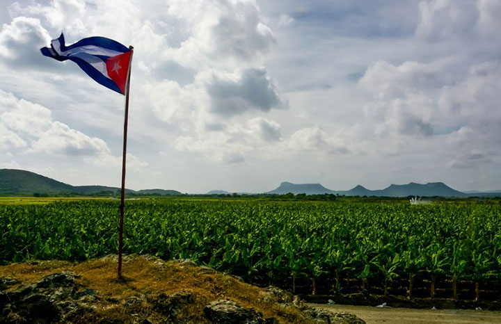 2505 desarrollo agricola