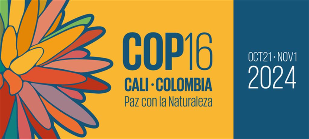 Colombia COP16 1