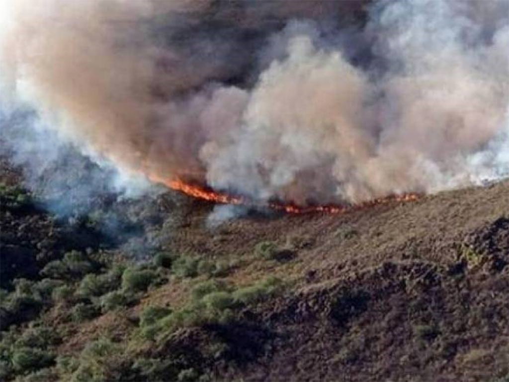 Incendios_forestales