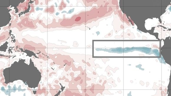 En junio de 2020 se registraron anomalías frías de la temperatura superficial del mar a lo largo del Pacífico ecuatorial oriental. Imagen: Buró de Meteorología Australiano.