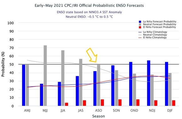 Es poco probable que El Niño se manifieste durante la etapa agosto-octubre. Gráfico: Instituto Internacional de Investigación para el Clima y la Sociedad.