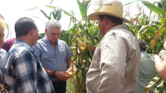 Su recorrido en el territorio espirituano lo inició por la finca de Yoandy Rodríguez Porra, socio de la Cooperativa de Crédito y Servicios Nieves Morejón, en el municipio de Cabaiguán.