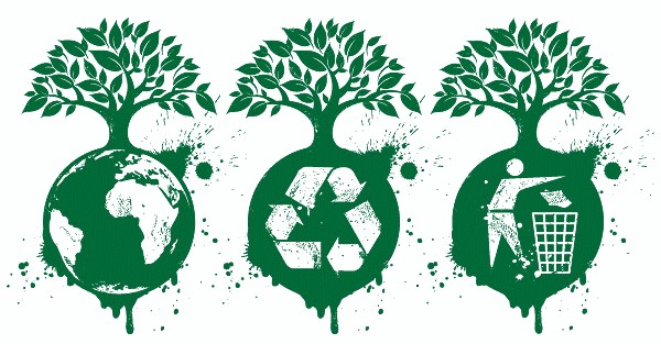 Banner alegórico a la educación ambiental
