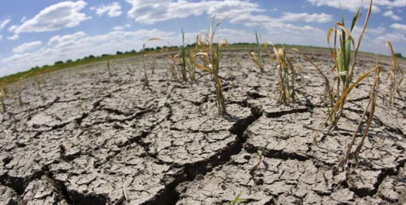 Combatir la Desertificación y la Sequía