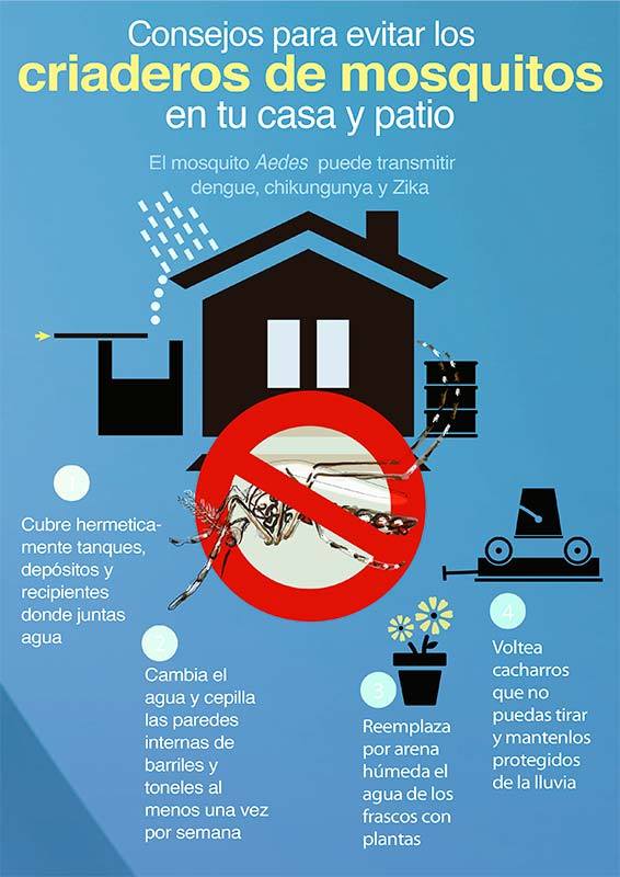 Dengue: Un riesgo que no se debe correr