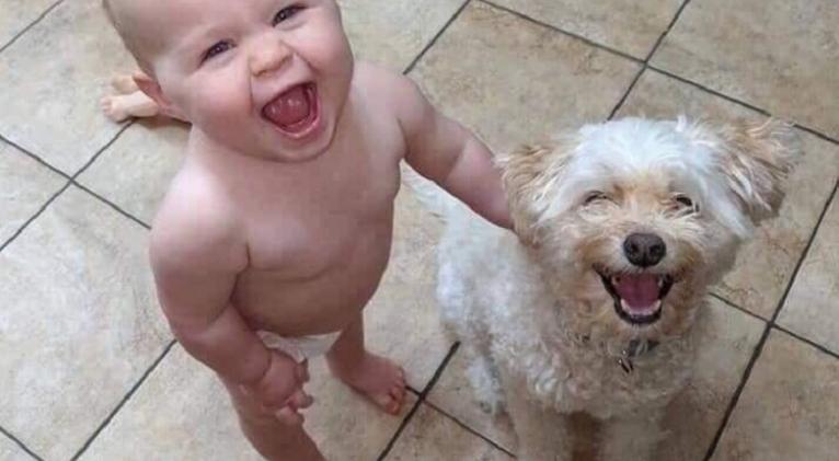 Niño y perro sonriendo