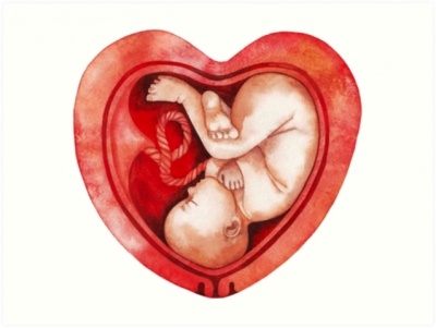 Banner alegórico a un feto