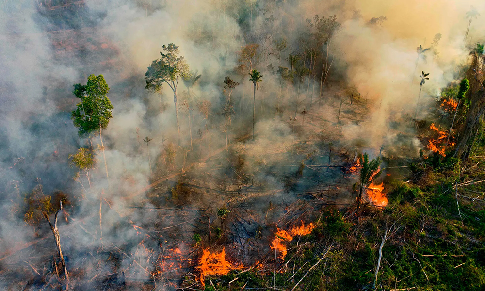 Incendio en la Amazonia brasileña, al sur de Novo Progresso, estado de Pará, en agosto de 2020. Según datos de satélite, en septiembre de 2020 se registraron 28 892 incendios en el total de la Amazonia, que abarca nueve países. Foto: Getty.