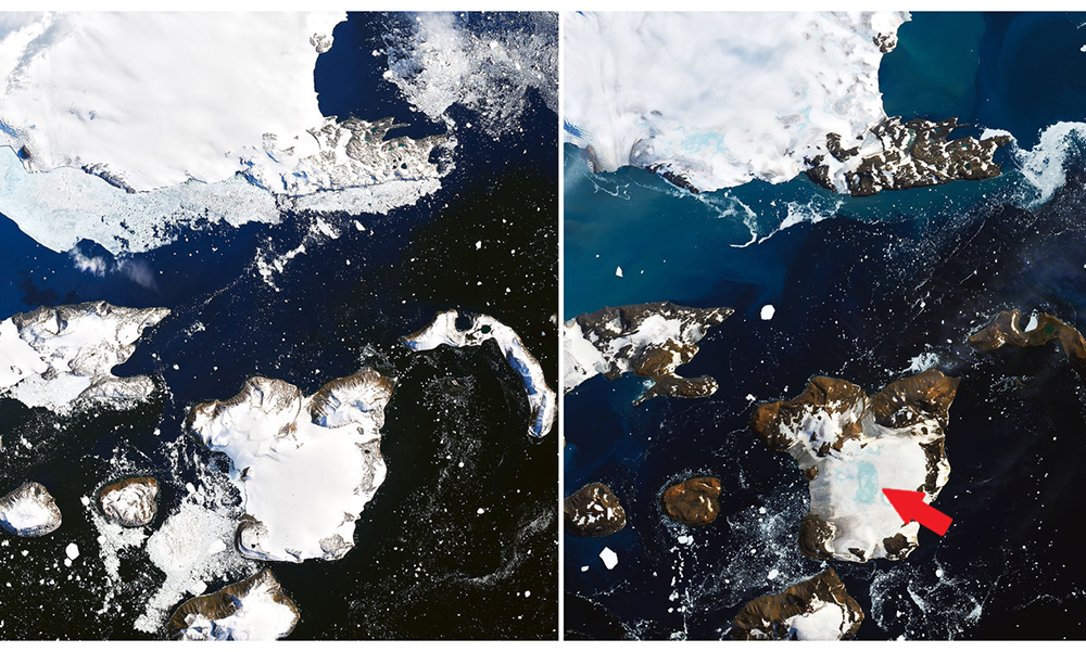 Evidencias de la pérdida de hielo en un periodo de nueve días en el extremo de la Península Antártica, apreciadas en imágenes de satélite de la NASA tomadas el 4 (izquierda) y el 13 (derecha) de febrero de 2020. La flecha roja señala agua proveniente del derretimiento. Fotos: NASA.