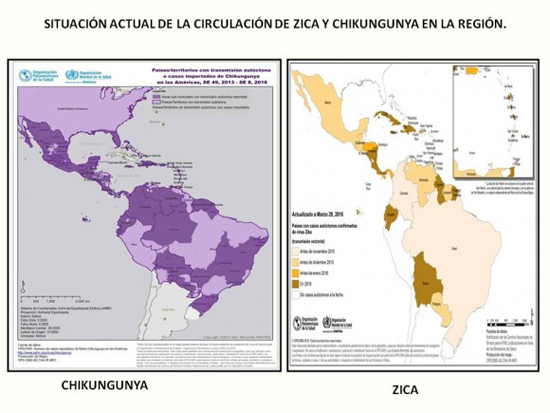 Situación actual de la circulación del Zika y Chinkungunya en la región.