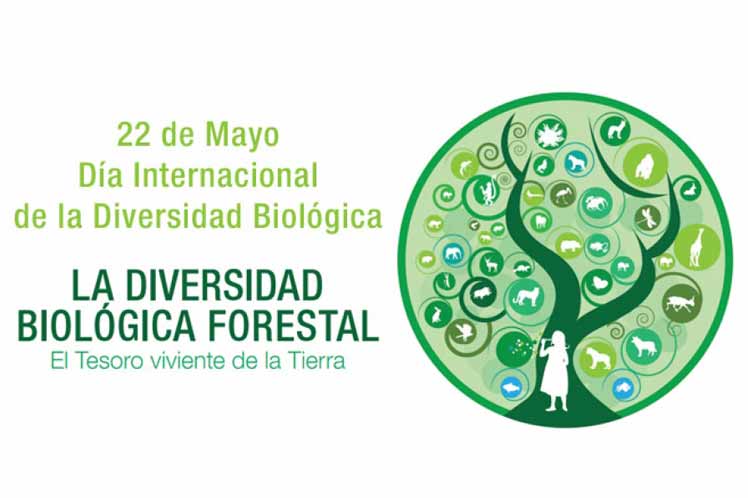Banner alegórico al Día Internacional de la Diversidad Biológica