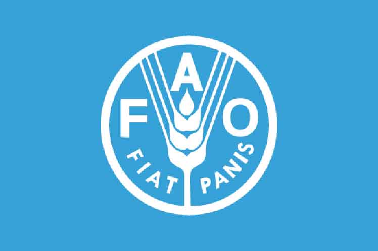 Banner alegórico a la FAO
