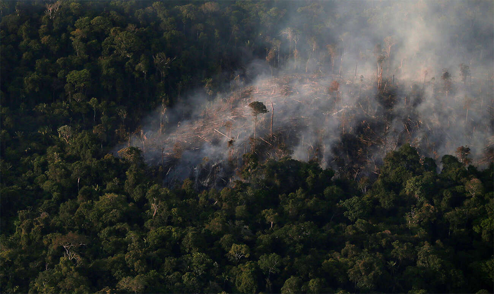 Fuego en la Amazonia. Así se limpia luego de talar, pero la tala también deprime las defensas de la selva, hace que pierda humedad por el retroceso de su frontera, y se quema el bosque virgen. Foto: Reuters.