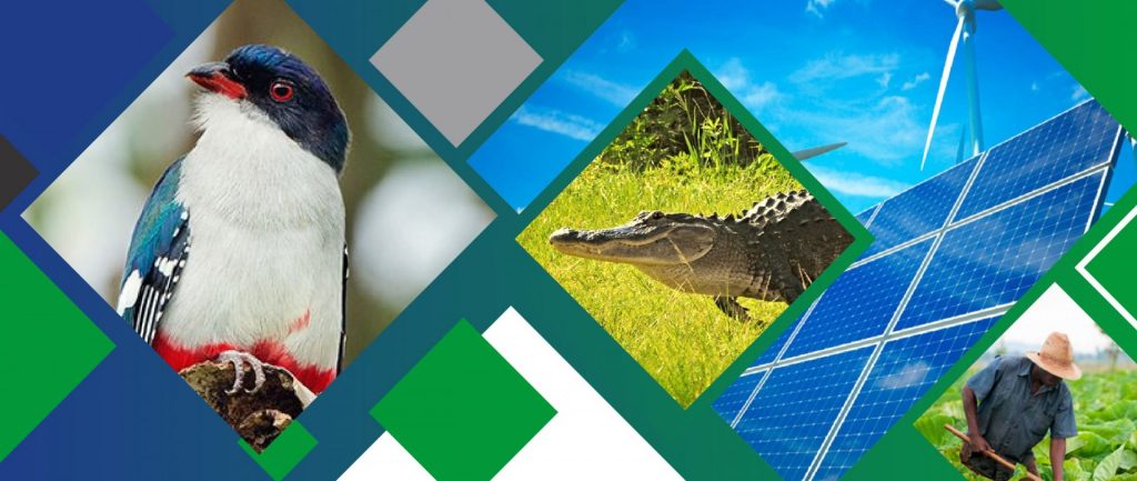 Su creación fue una expresión concreta de la voluntad política del Estado y el Gobierno cubanos de darle continuidad a la prioridad a la ciencia, la tecnología y el medio ambiente.