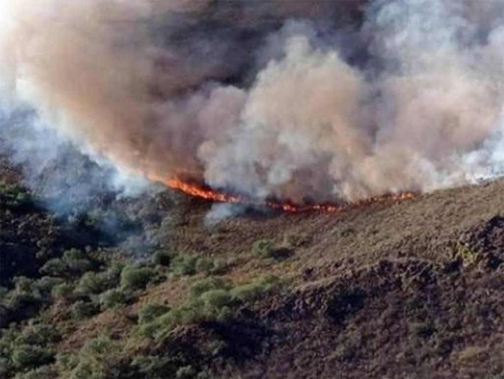 Incendios forestales