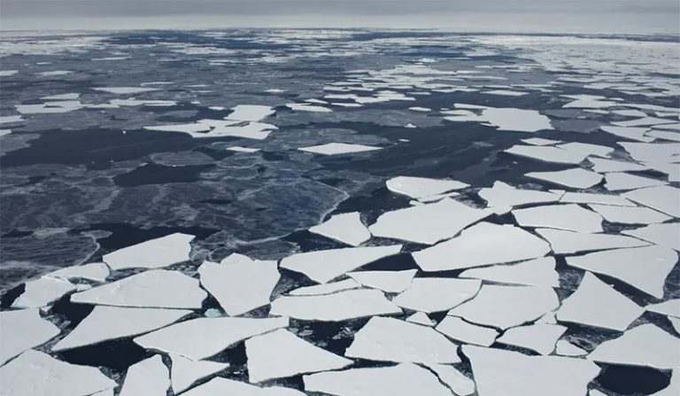 Imágenes tomadas con un dron a mediados de 2019 muestran la ruptura y derretimiento del hielo ártico. Foto: Greenpeace.