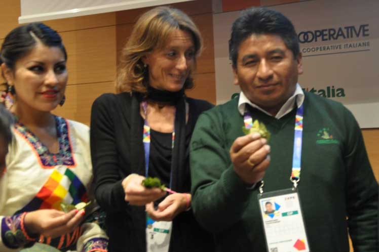 Investigadores de Bolivia, Uruguay y Cuba sobre hoja de coca