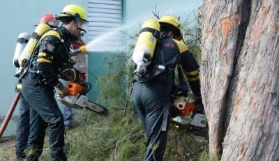 Bomberos durante el ejercicio Meteoro 2016 Bomberos durante el ejercicio Meteoro 2016