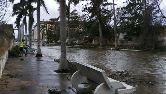 Cárdenas después de Irma