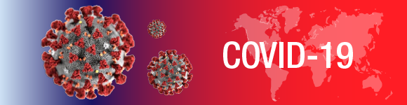 Banner del Coronavirus