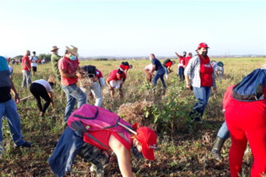 Trabajo voluntario 