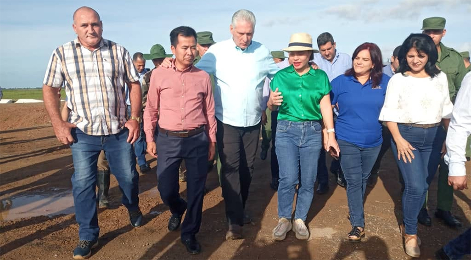 El presidente cubano intercambiando con especialistas cubanos y vietnamitas en Los Palacios, Pinar del Río. Foto: Periódico Guerrillero.