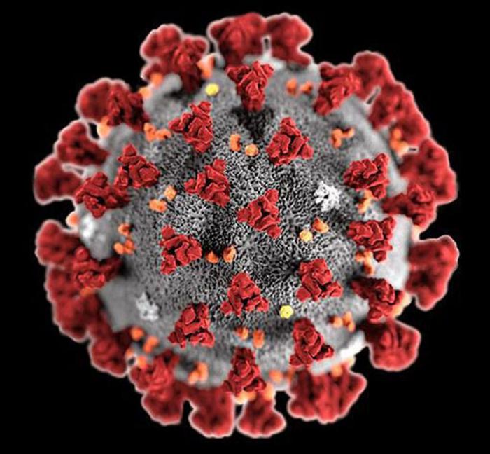 Anuncian en Vietnam un brote de un nuevo tipo de coronavirus más contagioso