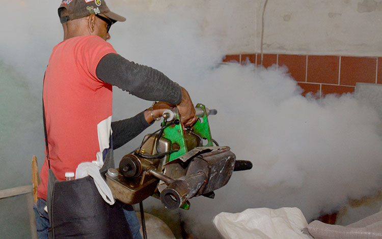 Intensifican acciones contra el mosquito en La Habana