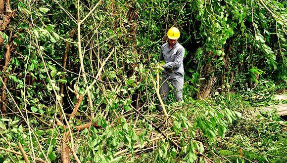 linieros laboran por recuperar servicio eléctrico 
