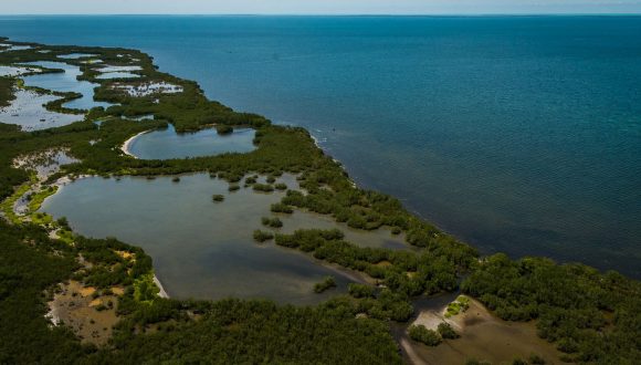 Sistema de lagunas costeras en el archipiélago cubano.