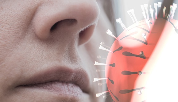 La investigación encontró una relación inversa entre la pérdida del olfato y la muerte. Foto: Your MD.