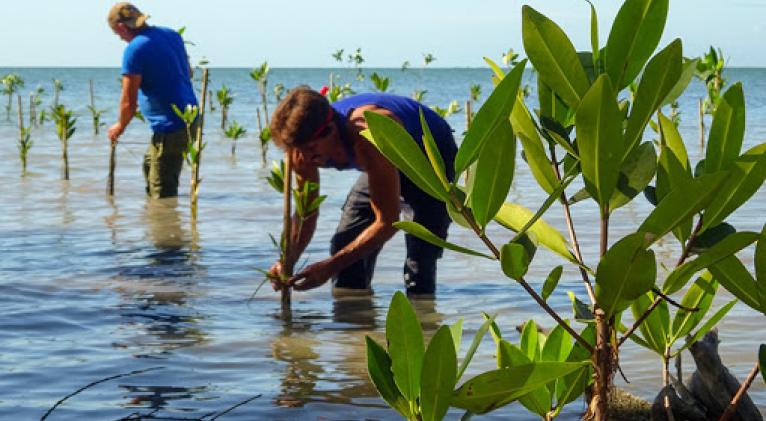 Evalúan resultados del Proyecto Resiliencia Costera en Cuba