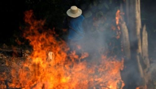  Las comparaciones entre los donativos por el incendio de Notre Dame y la ausencia de fondos para combatir el fuego en el Amazonas, han sido tendencia. (Foto: Reuters)