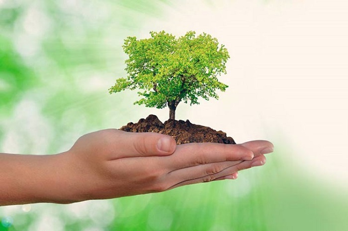 Provincia cubana se alista para celebrar Día del Medio Ambiente