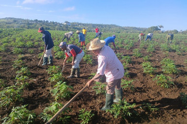 Actividades productivas marcan jornada por el Día del Campesino