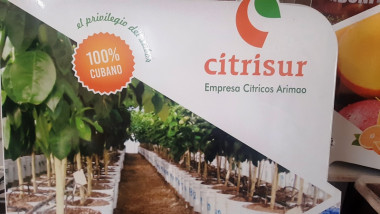 Cienfuegos destaca en exportaciones productivas