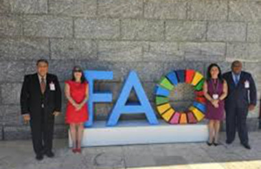 Cuba participa en Conferencia de la FAO 