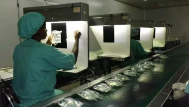 Laboratorio Farmacéutico Oriente.