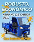 Triciclos, accesorios y más...