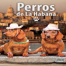 Multimedia Perros de La Habana
